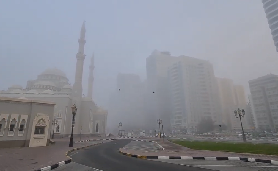 আরব আমিরাতের রাস্তায় দৃশ্যমানতা প্রায় শূন্যের কোঠায়