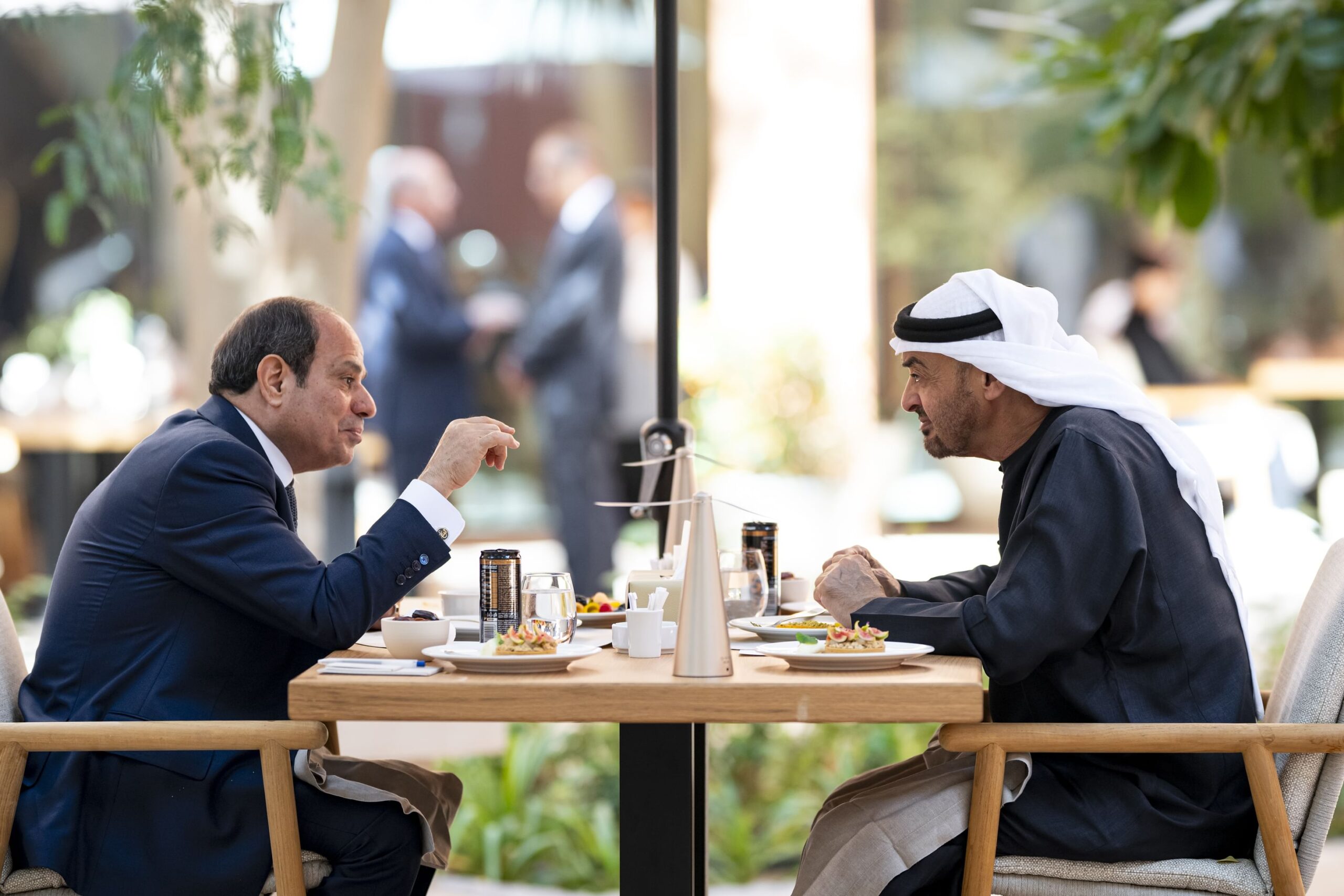 মিশরের প্রেসিডেন্টের সাথে আমিরাতের প্রেসিডেন্টের বৈঠক